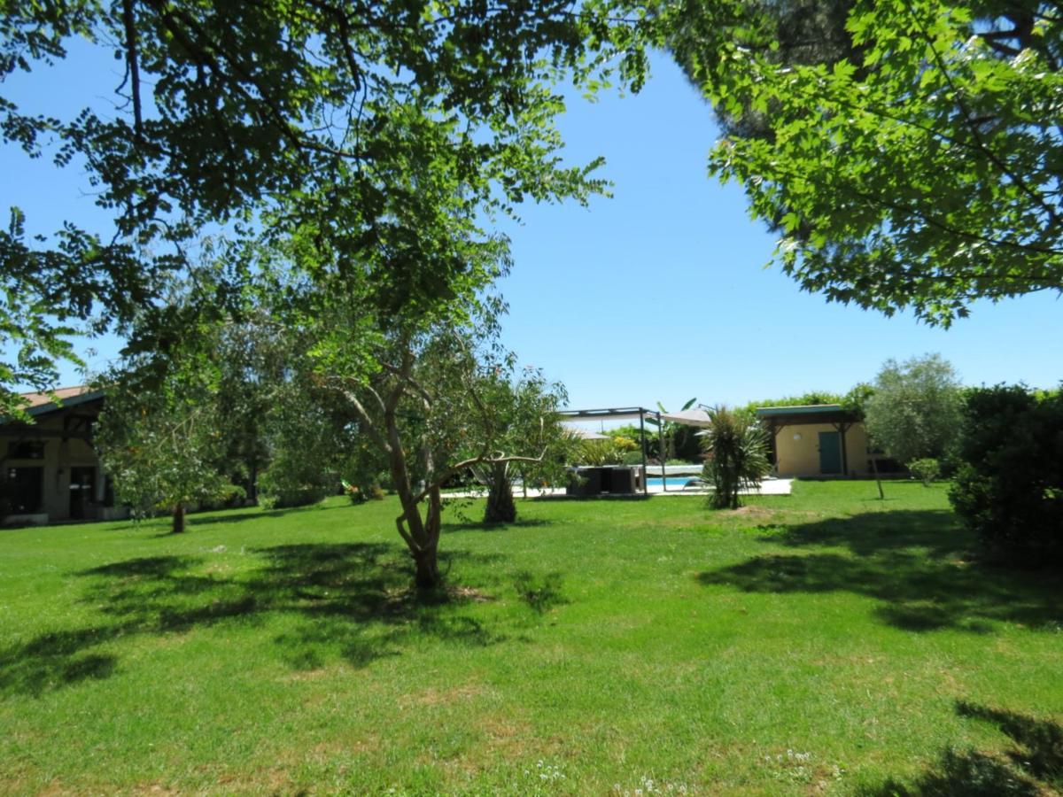 Les Hortensias Caumont-sur-Garonne Exterior foto